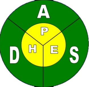 Asociación Damas Salesianas (ADS)